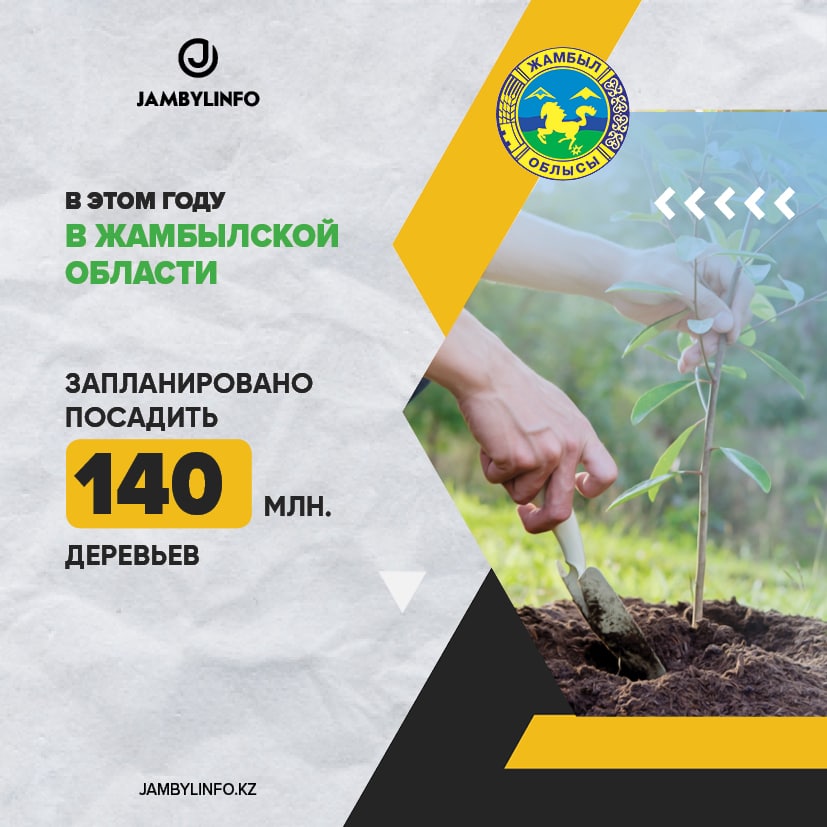 В Жамбылской области запланировано посадить 140 млн деревьев