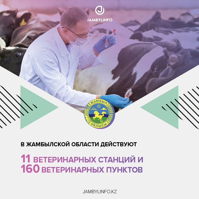 В Жамбылской области действуют 11 ветеринарных станций и 160 ветеринарных пунктов