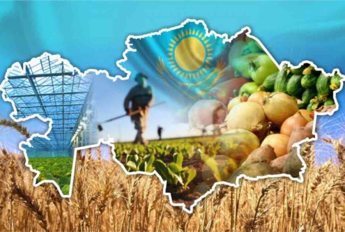Сколько вложат в сельское хозяйство Казахстана в этом году