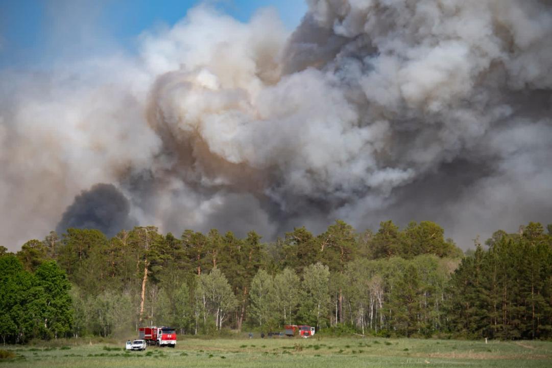 Как собираются защищать наши леса от пожаров в Минэкологии?