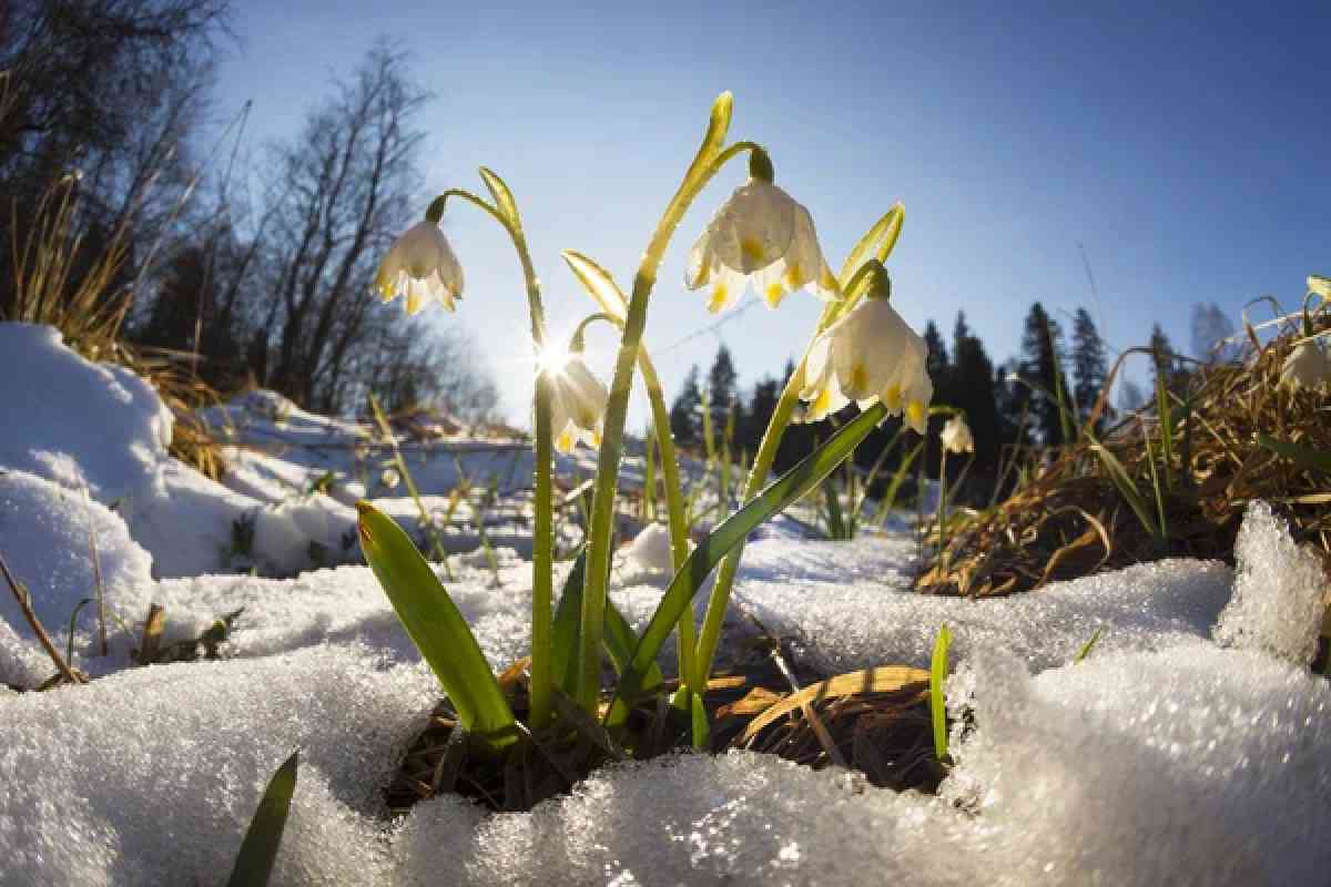 Погода в Казахстане 1 марта: на большей территории страны без осадков
