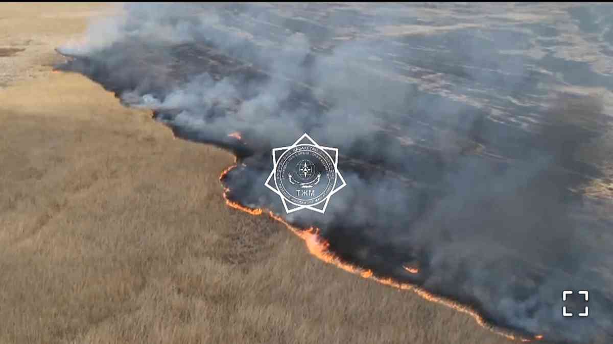 Уже неделю тушат пожар на берегу Каспия в Атырауской области