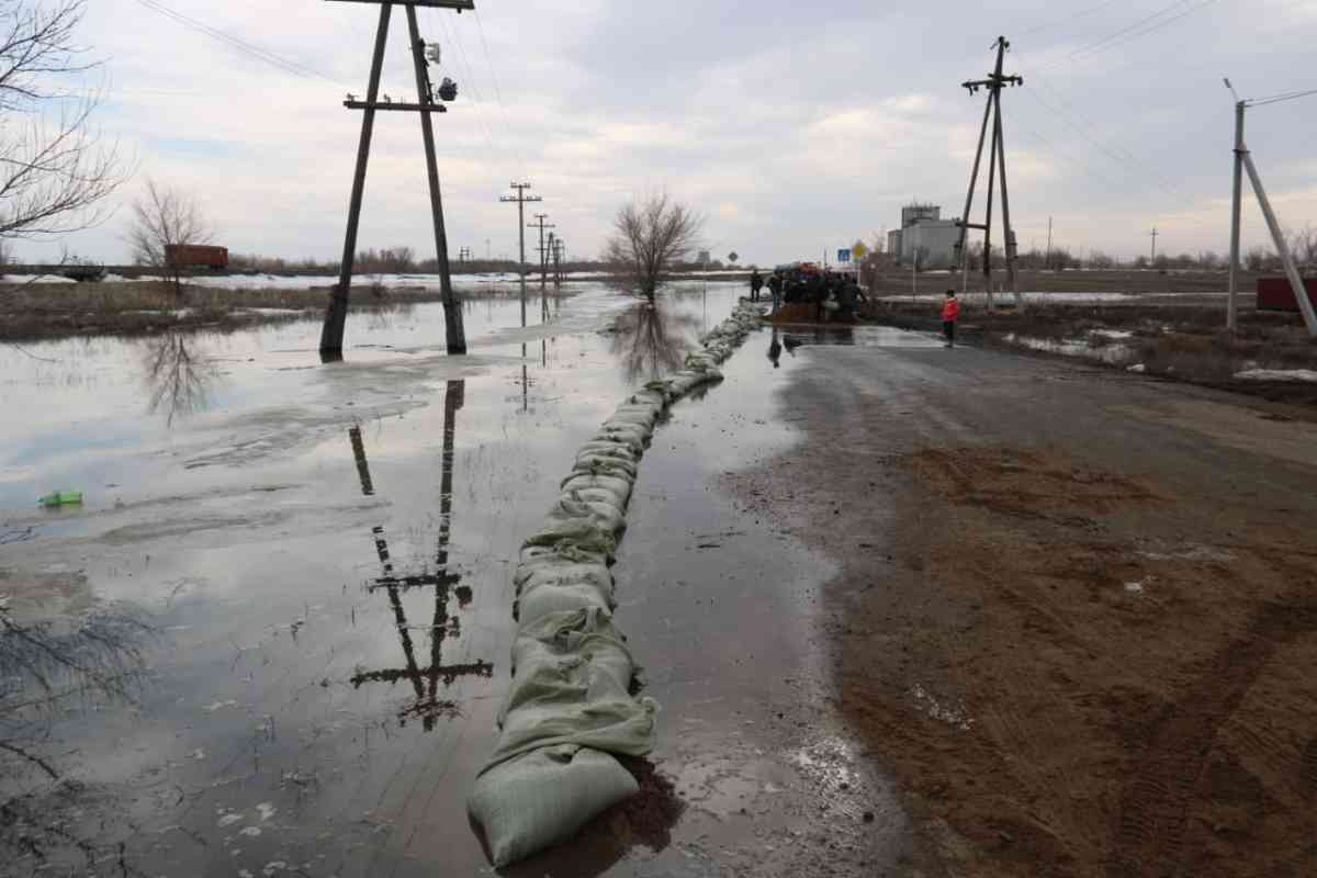 Сила воды: грозят ли Жамбылской области весенние паводки