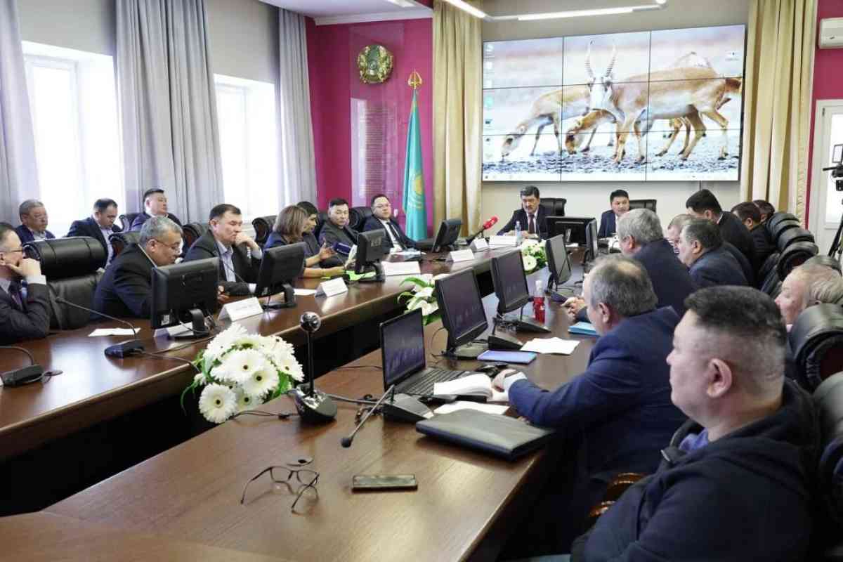 Фермеры Западного Казахстана требуют мер по регулированию численности сайгаков
