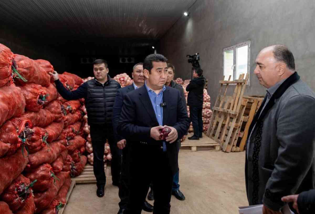 Проблему реализации лука с фермерами Жамбылской области обсудил министр сельского хозяйства