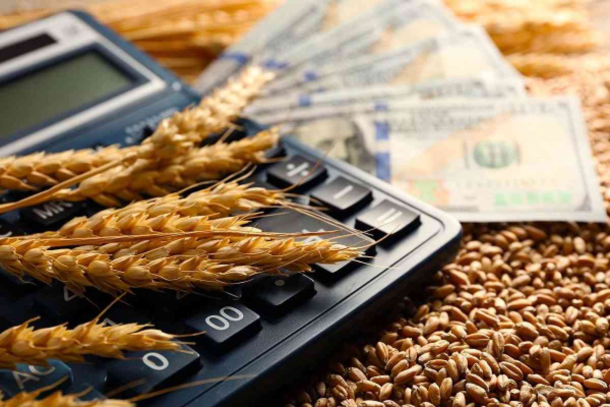 Продкорпорация объявила о начале продаж семян пшеницы для посева