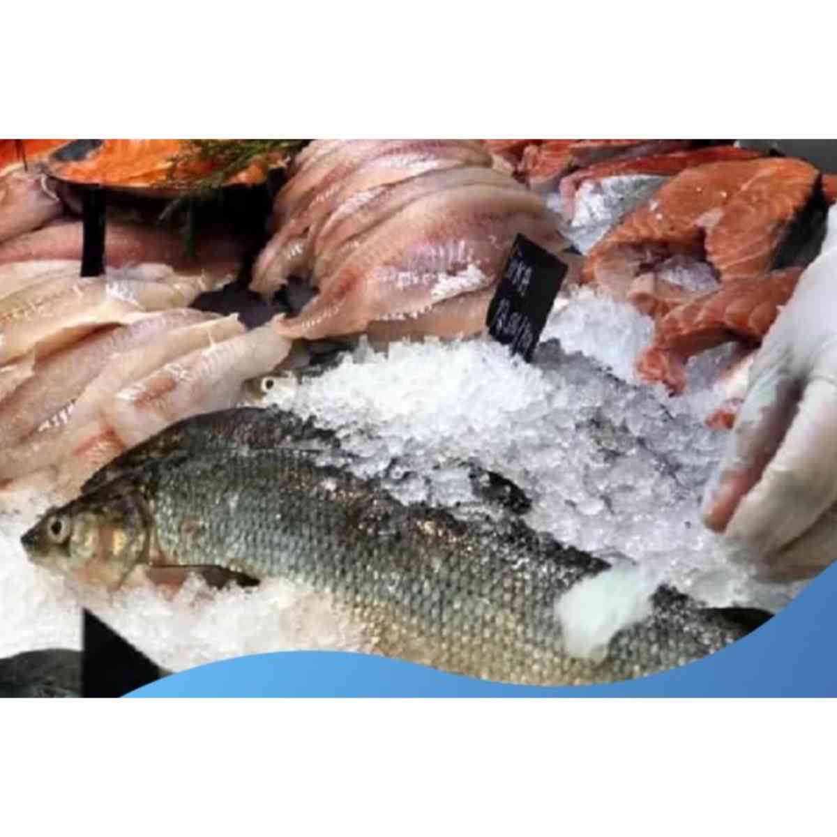 Как в Минсельхозе собираются увеличить переработку рыбной продукции