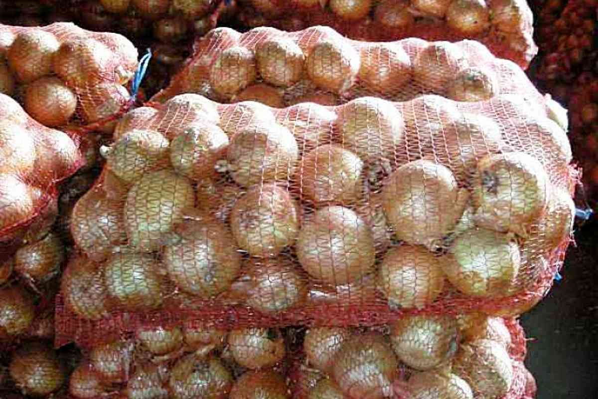 Пакистан сейчас активно закупает лук из Жамбылской области