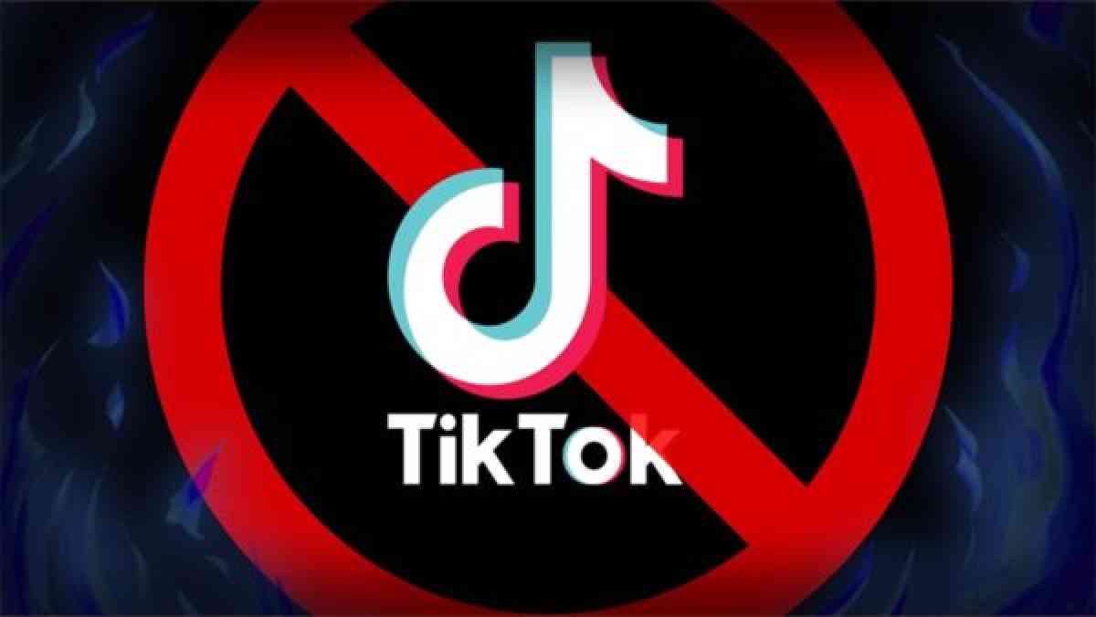 TikTok могут запретить в Казахстане