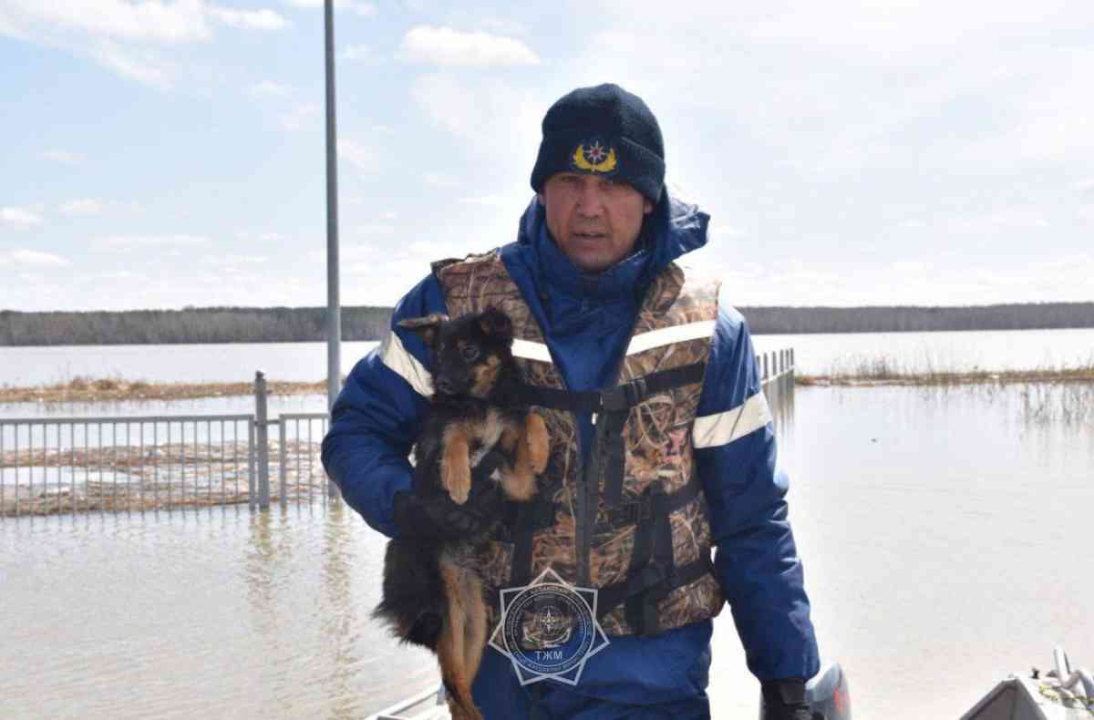 Как защищают села от паводков в  Атырауской области