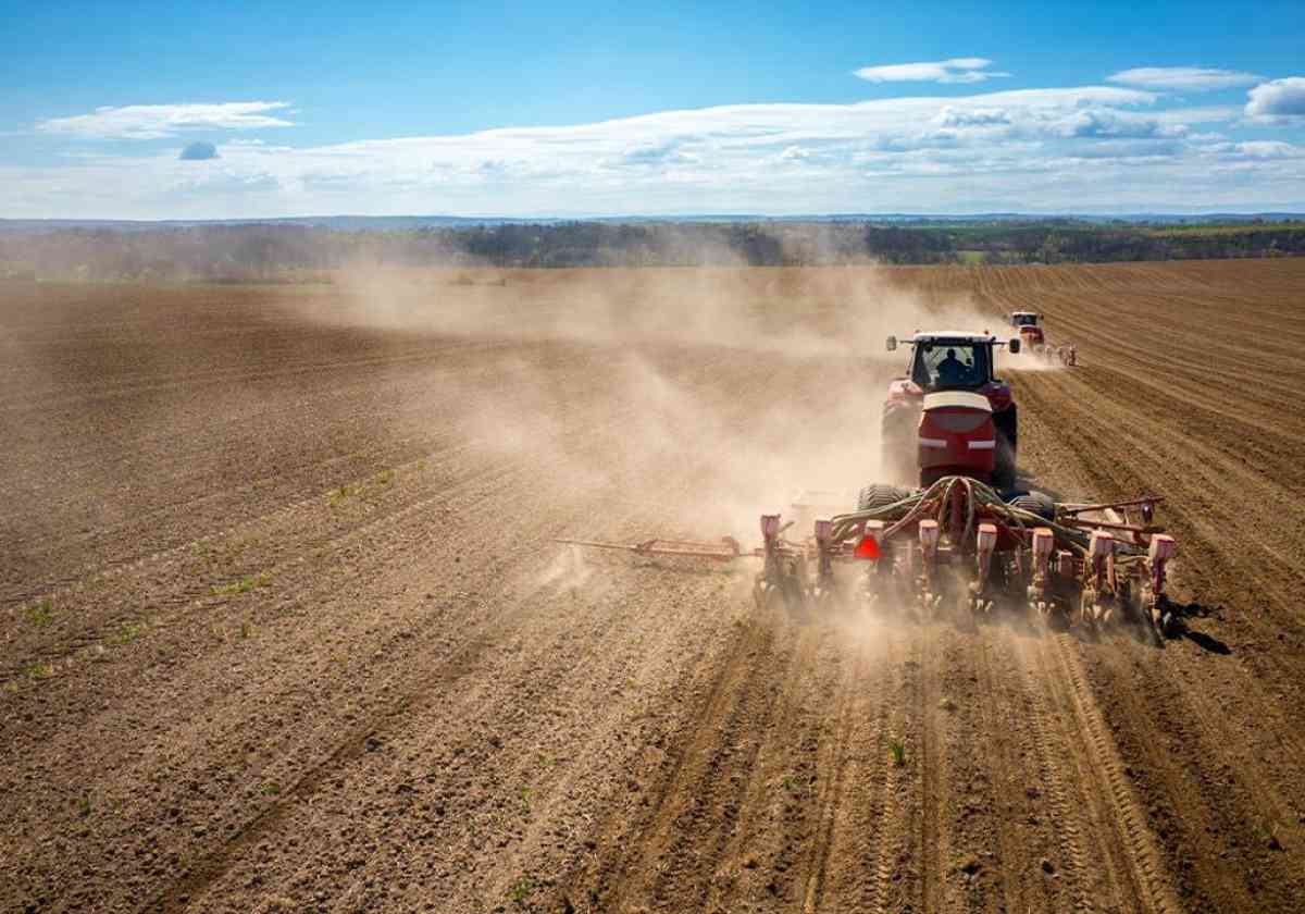 23,8 млн га занимают общие посевы сельхозкультур в Казахстане