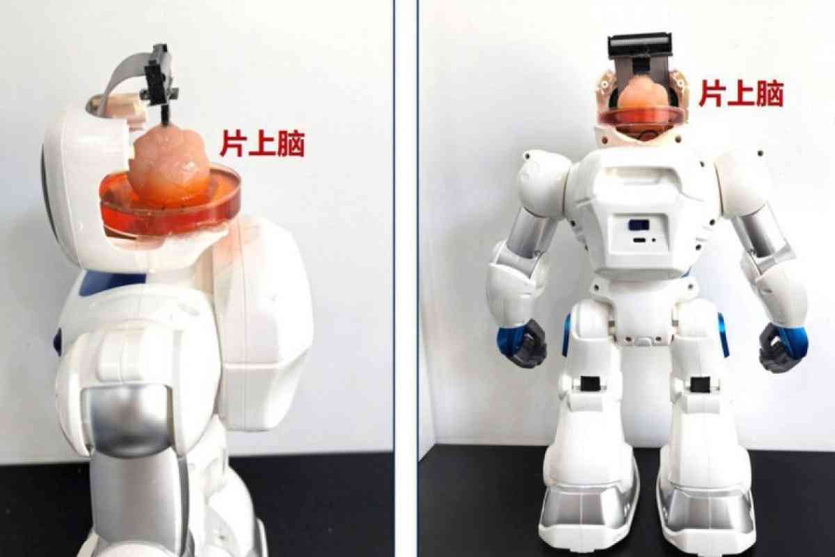 В Китае изобрели робота с человеческим "мозгом на чипе"