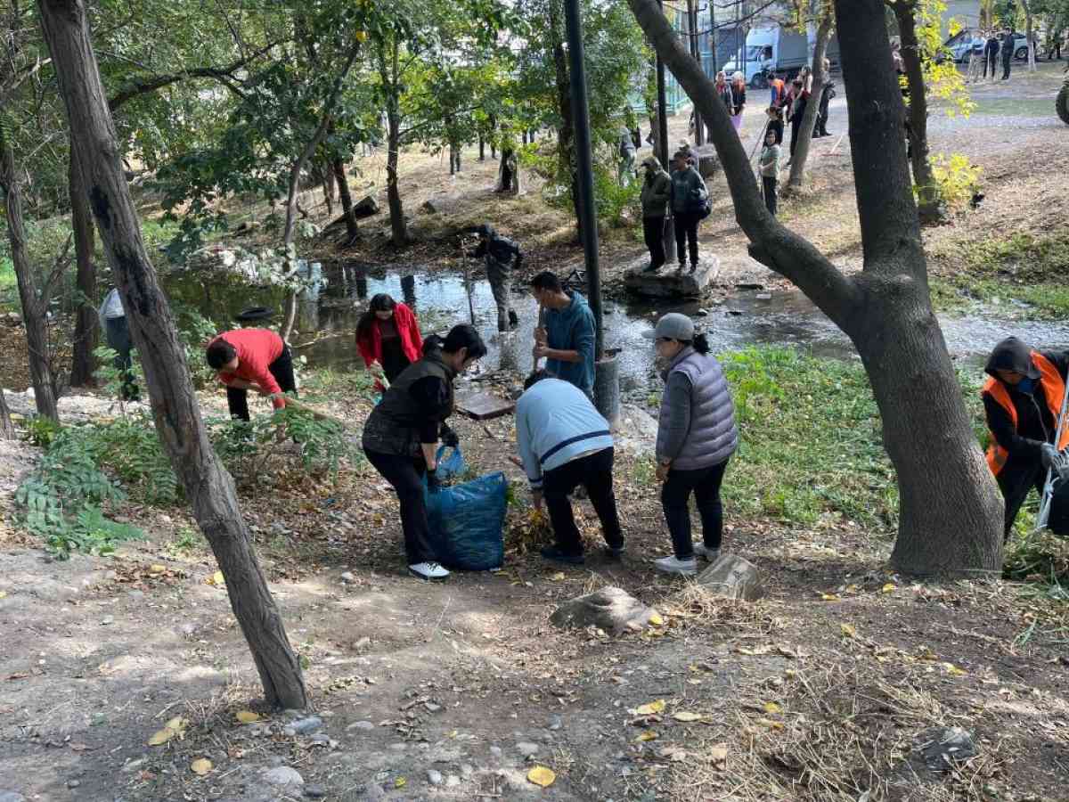 Более 773 тысяч жителей Жамбылской области приняли участие в акции «Таза Қазақстан»