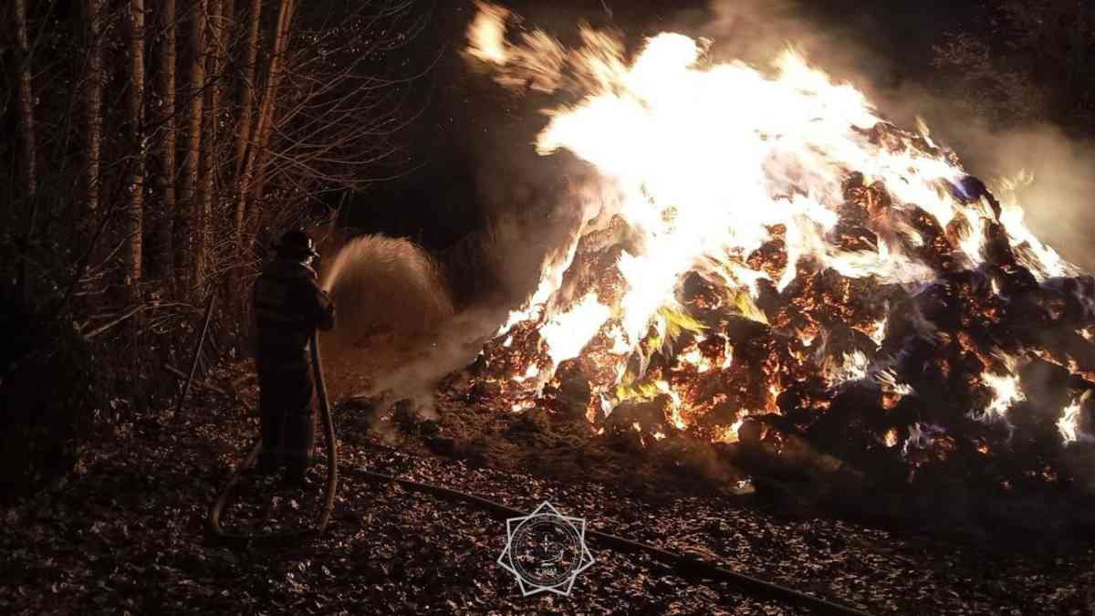 1000 тюков сена загорелось в селе Сабденов района Рыскулова