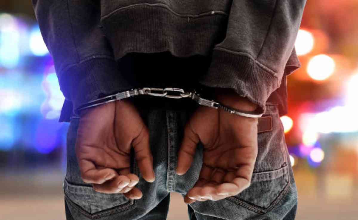 В Шуском районе полицейские задержали мужчину, собравшего более 32 килограммов марихуаны