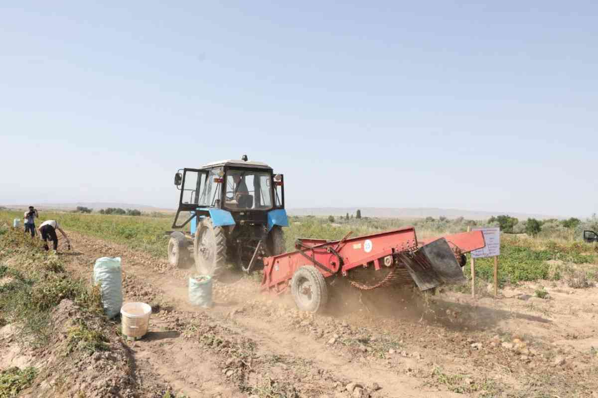 Сколько земли возвращено государству в Жамбылской области с начала года