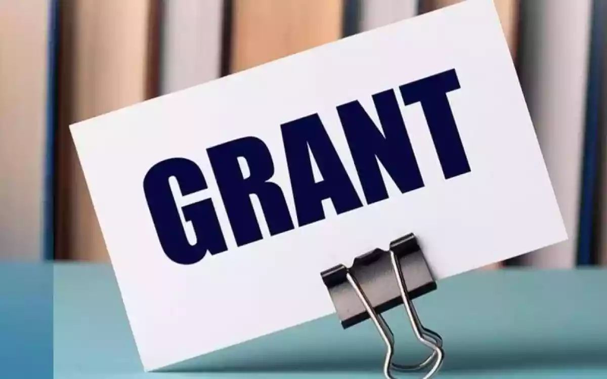 Сколько граждан получили безвозвратные гранты в этом году?