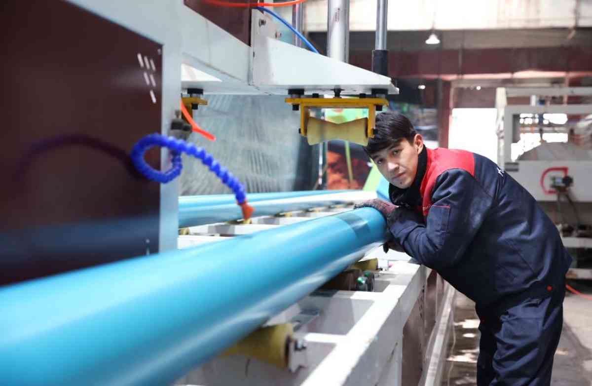 Поручение Президента: в Жамбылской области в этом году будет создано более 42 тысяч рабочих мест